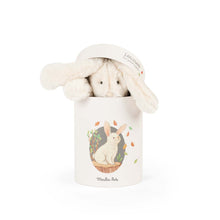 Load image into Gallery viewer, Arthur et Louison - Rabbit Doll in Box