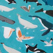 Load image into Gallery viewer, Animal World Poster & Stickers