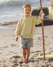 Load image into Gallery viewer, Paneled Boardshort - Sea Green