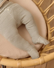 Load image into Gallery viewer, Take Home Set - Forest Stripe
