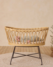 Load image into Gallery viewer, Take Home Set - Forest Stripe
