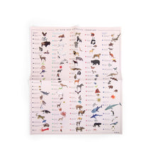 Load image into Gallery viewer, Tout Autour Du Monde - World Map With Transfers
